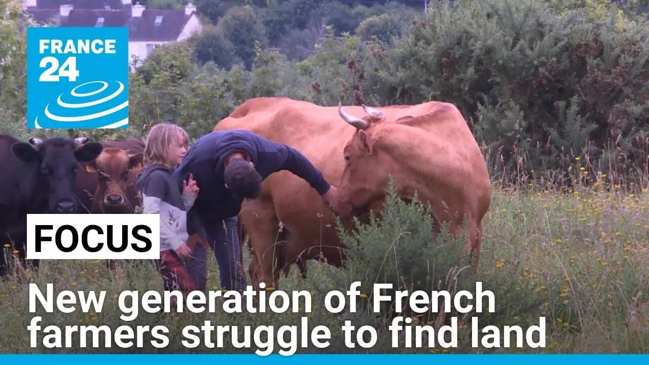 New generation of French farmers struggle to find available land &bull; FRANCE 24 English
