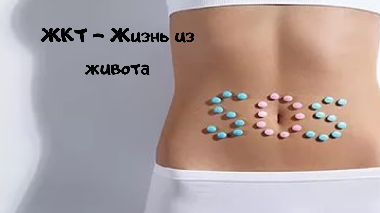 ЖКТ -  Жизнь из живота