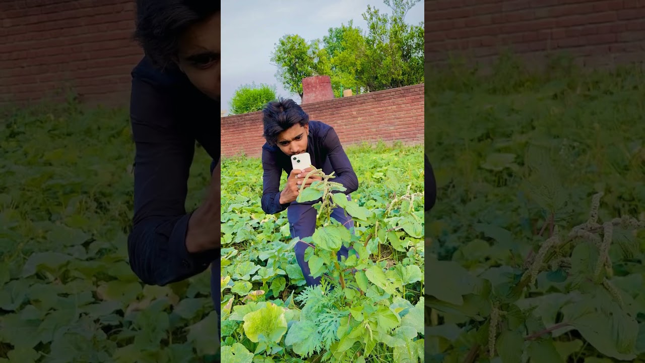 Farming whatsapp status ❤️ #farming #nature #watsappstatus #viral #shorts