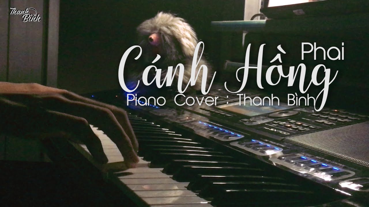 CÁNH HỒNG PHAI | TRẤN THÀNH | Piano Cover | Thanh Bình