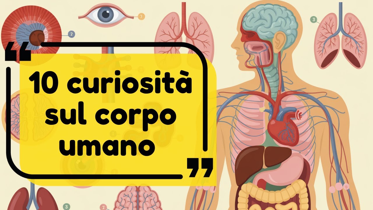 10 curiosità sul corpo umano che ti faranno rivalutare la biologia