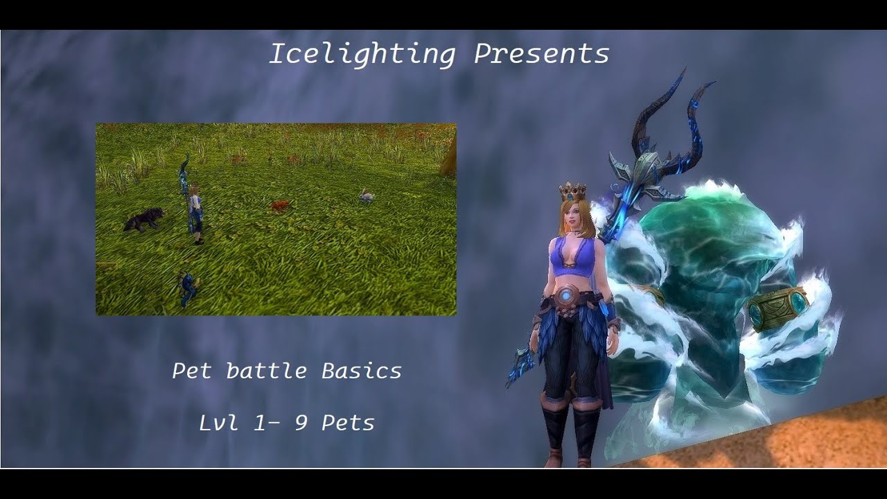 Pet battle basics guide - Pet Journal - Pet Tammers - Battle stones - Tamer and World Quests