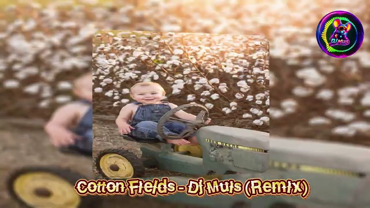 Cotton Fields - Dj Muis (Remix)