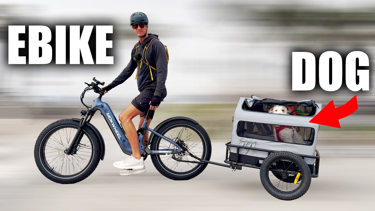I Tried a Dog Trailer On My 1000 Watt Ebike... Here's What Happened - Mokwheel Obsidian ST Review