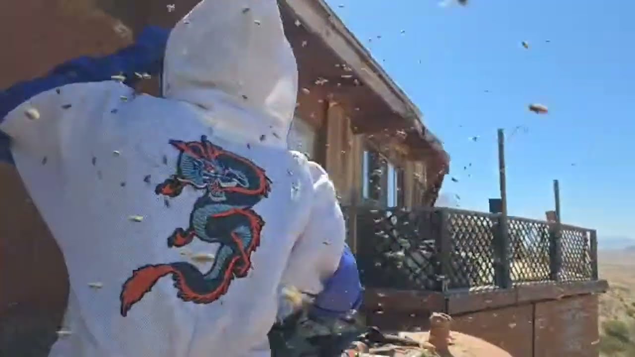 Sidewinder Killaz! [Livestream Replay]