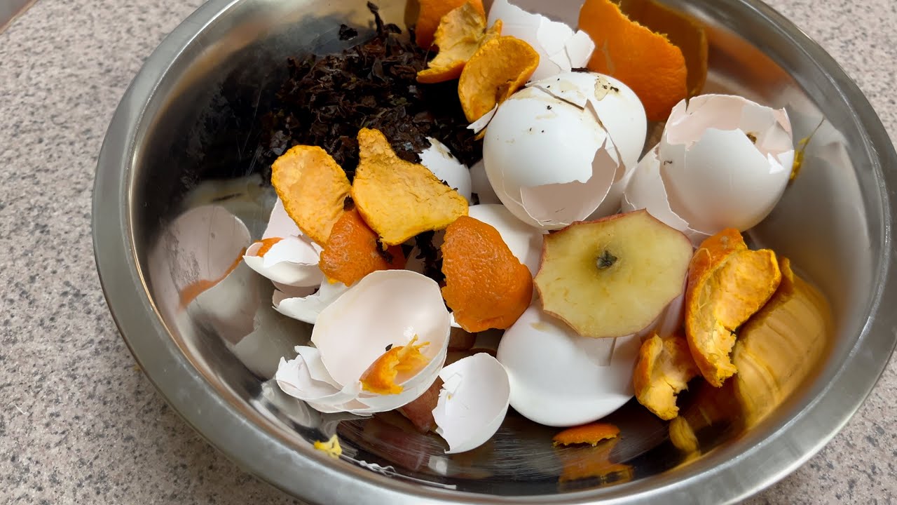 Do's and Don'ts of Composting | Composting for Beginners | Starting our Composting Journey