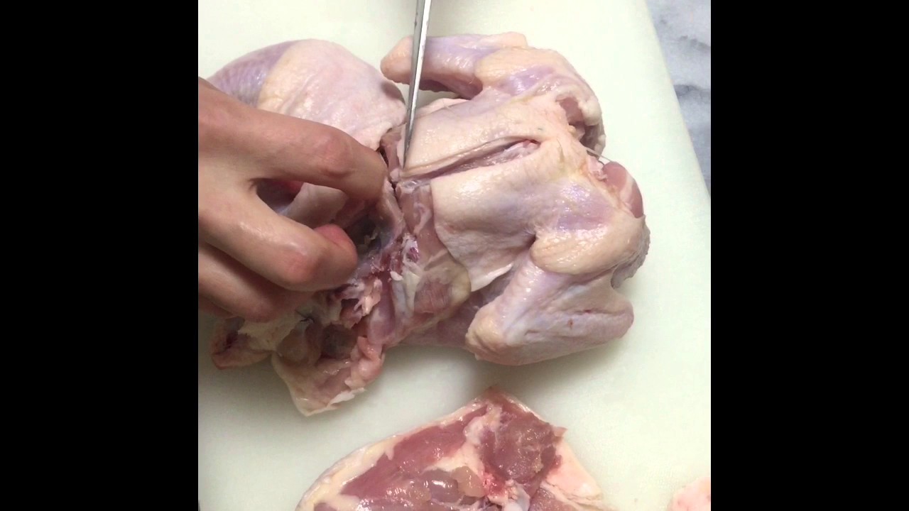 丸鶏のさばき方【一番わかりやすい完全解説】