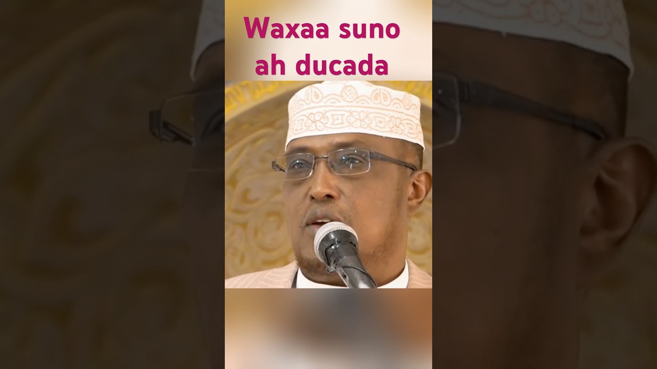 SHEEKH DIRIR Maxa Dhaca Habeenka 15 Shabcaan