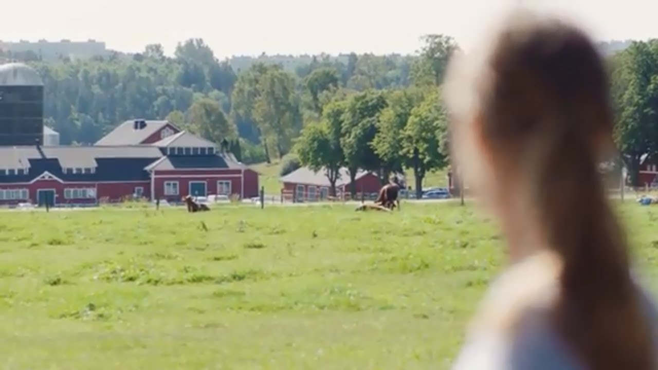 This is How We Live It | DeLaval Social Welfare & Culture | DeLaval