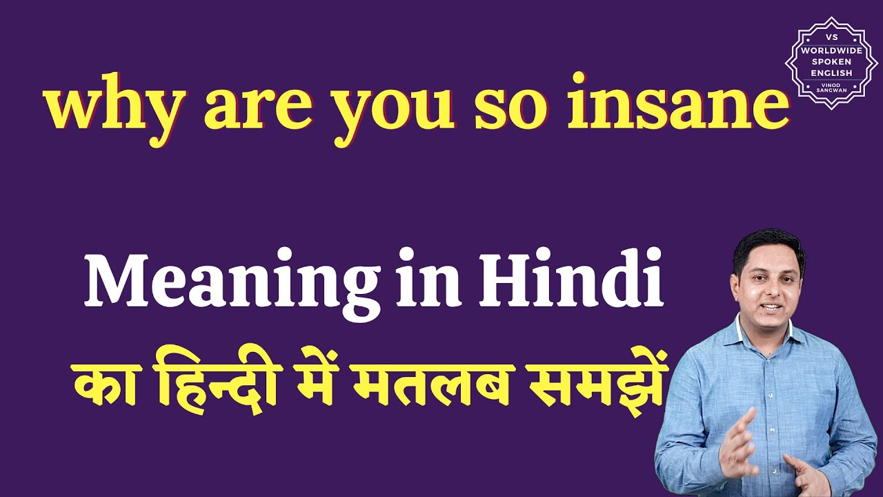 why are you so insane meaning in Hindi | why are you so insane ka matlab kya hota hai | English to h