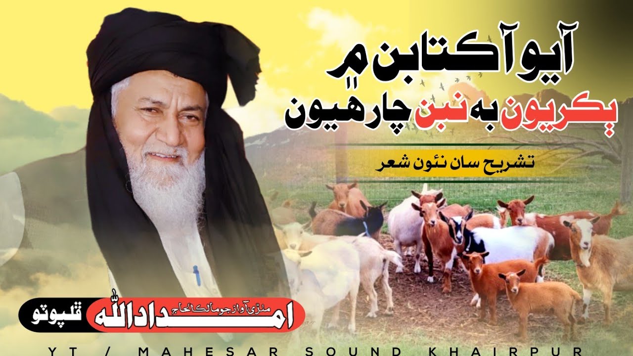 Haji Imdadullah Phulpoto || آيو آ ڪتابن ۾ ٻڪريون به نبن چارهيون || New 2025 