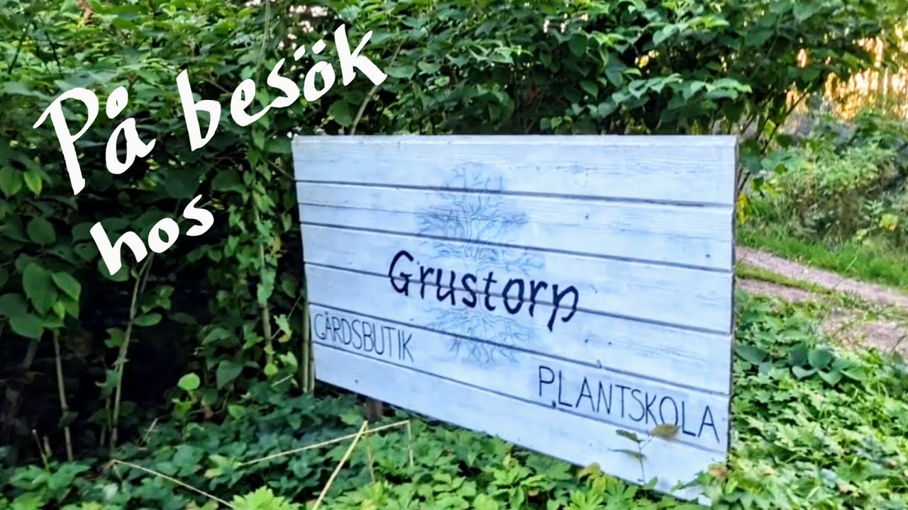 Grustorps skogsträdgård och plantskola!