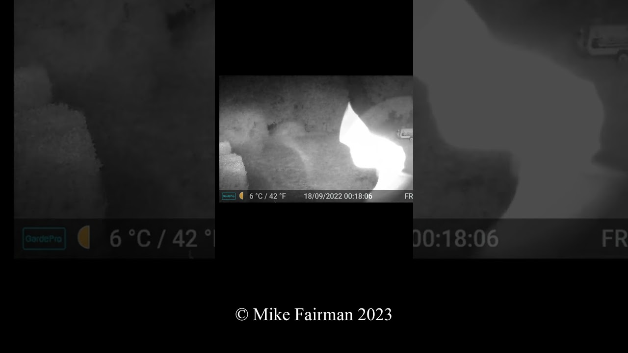 Bat Videos GardePro A3 Trail Camera 6 of 10 C&ocirc;tes d'Armor,  Brittany, France FR13 #shorts