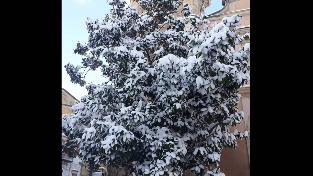 Nevicata a Casteltermini - 30/31 Dicembre 2014
