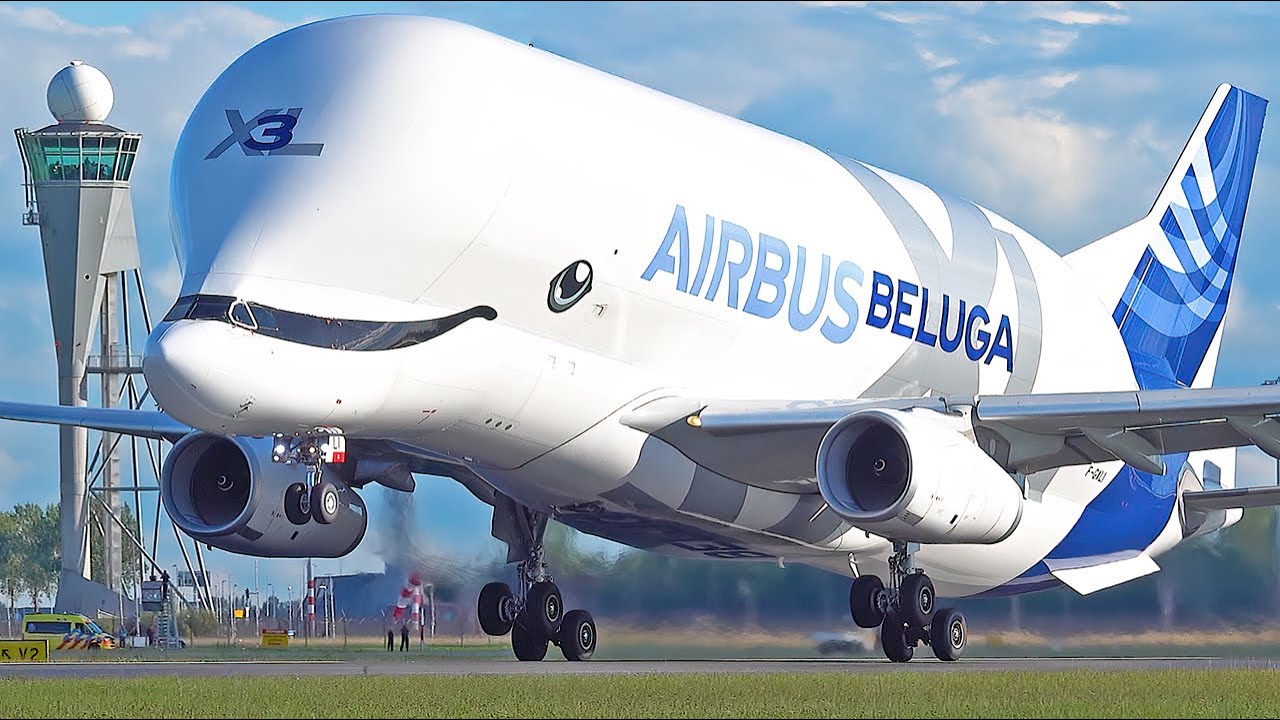 [4K] Airbus Beluga XL EMERGENCY Landing at SCHIPHOL AIRPORT - 26 Mins of PlaneSpotting