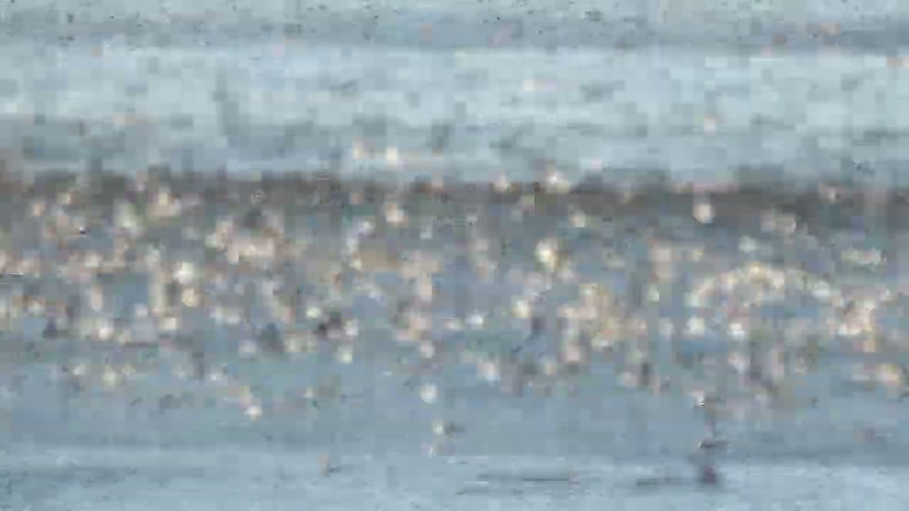 2024.12.18 - 100 0017