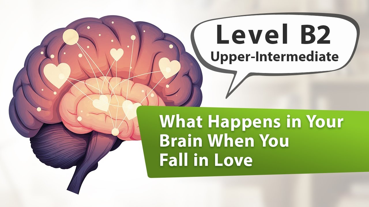 What Happens in Your Brain When You Fall in Love? | English Listening Practice for Learners - B2