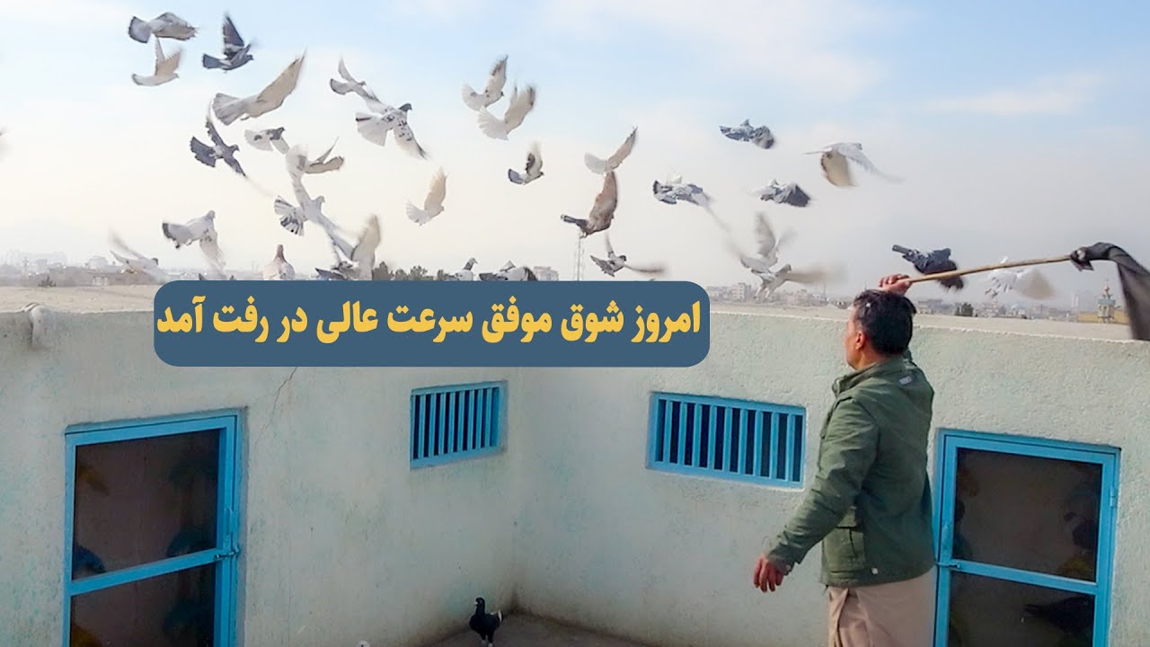 0431/ امروز شوق موفق سرعت عالی در رفت  و آمد / Afghan Shawqi