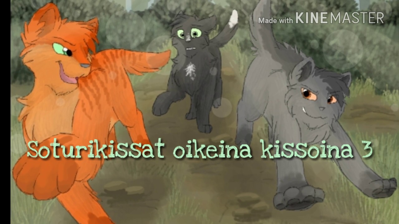 Soturikissat oikeina kissoina 3
