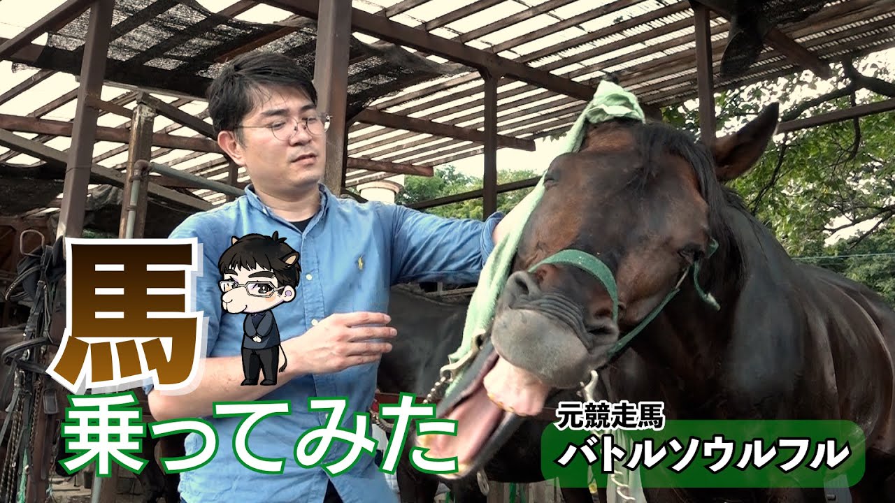 【人馬一体】稲川D挑戦企画第２弾「乗馬編」