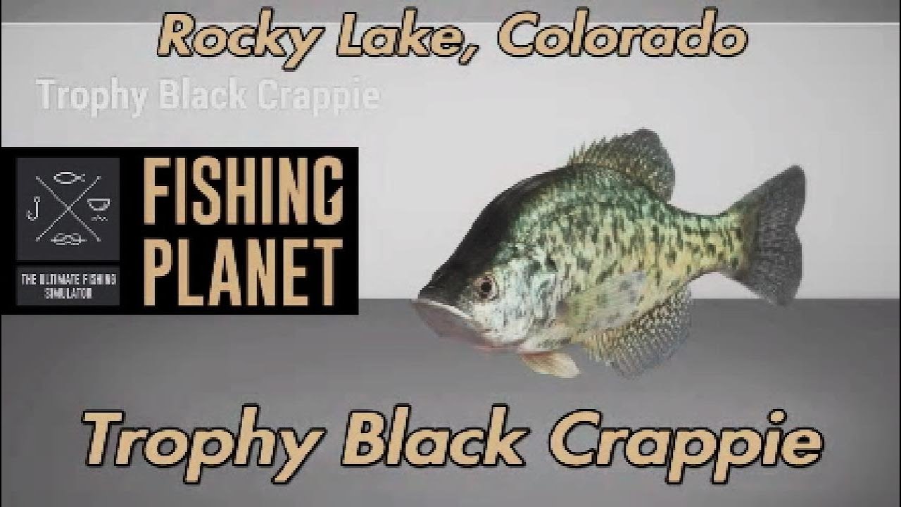 Руководство по рыболовной планете Trophy Black Crappie Rocky Lake Colorado