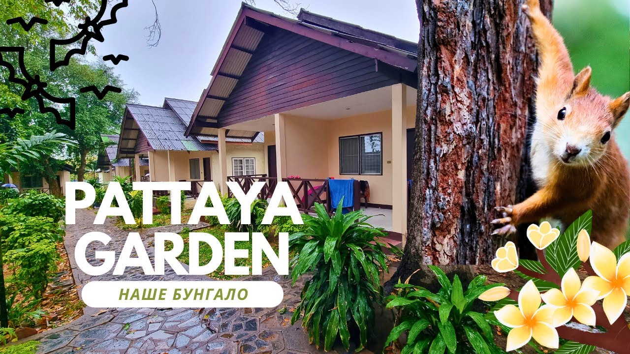 Доступный рай: обзор бунгало в недорогом отеле Pattaya Garden