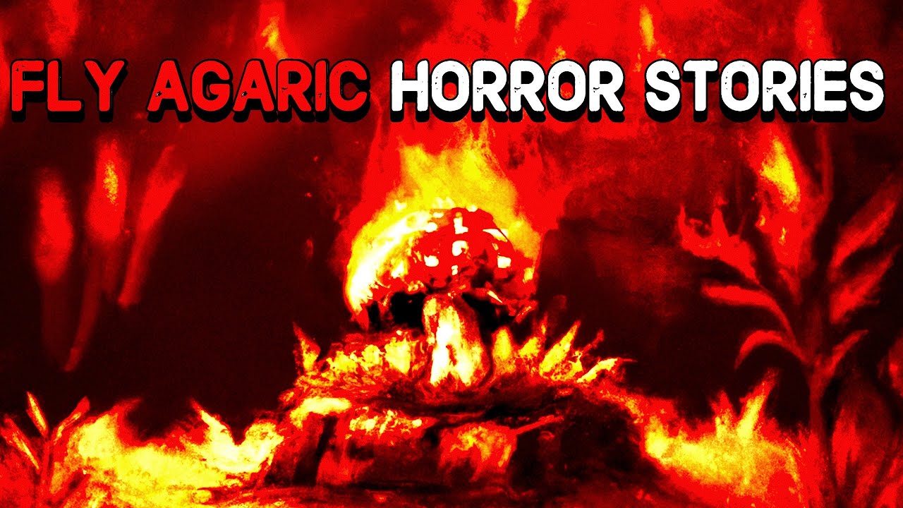 Amanita Muscaria Stories That Will Keep You Up At Night