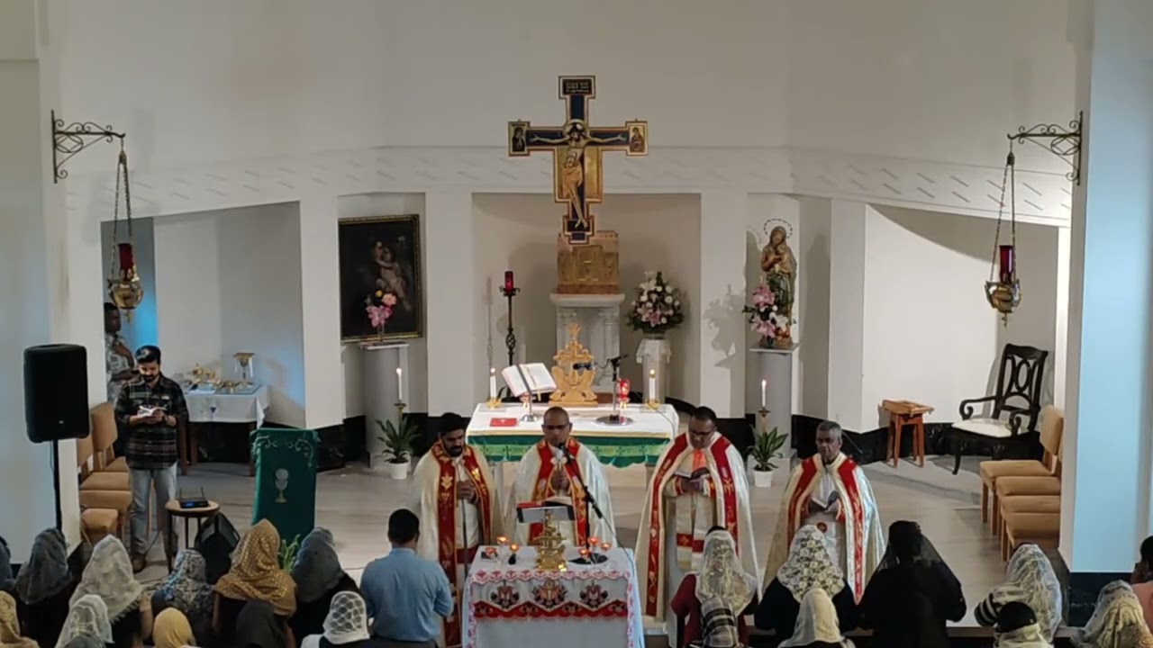 Sunday Holy Mass Terra Santa Church Jerusalem 🫂⛪🕊️
