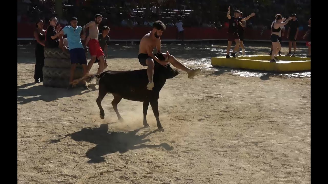 St-Mathieu-de-Tréviers ▶toro piscine◀ 02.07.2023 🤣🤣🤣.