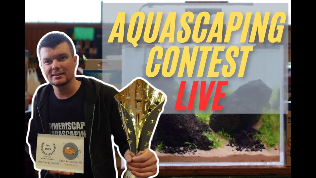AQUASCAPING CONCOURS AQUASCAPING LIVE SERVON SUR VILAINE