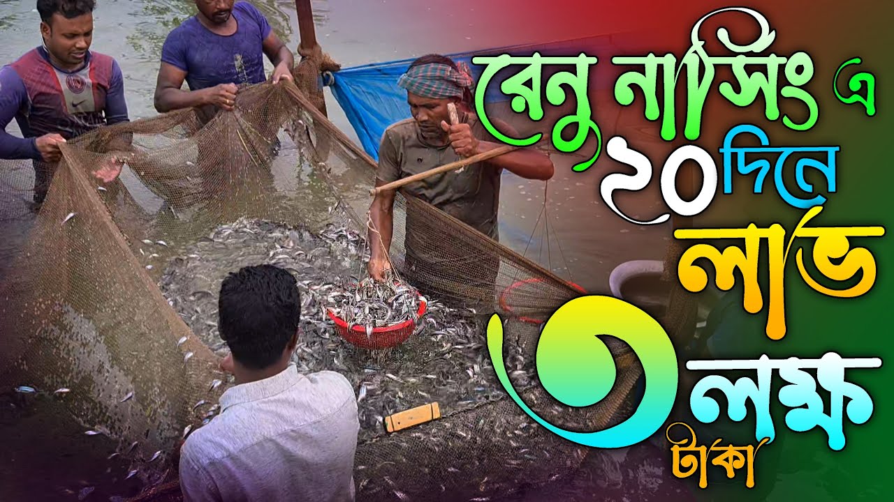২২দিনে আয় ৩লক্ষ টাকা । রেনু পোনা নার্সিং। Renu pona narsing । Fish seed hatchery