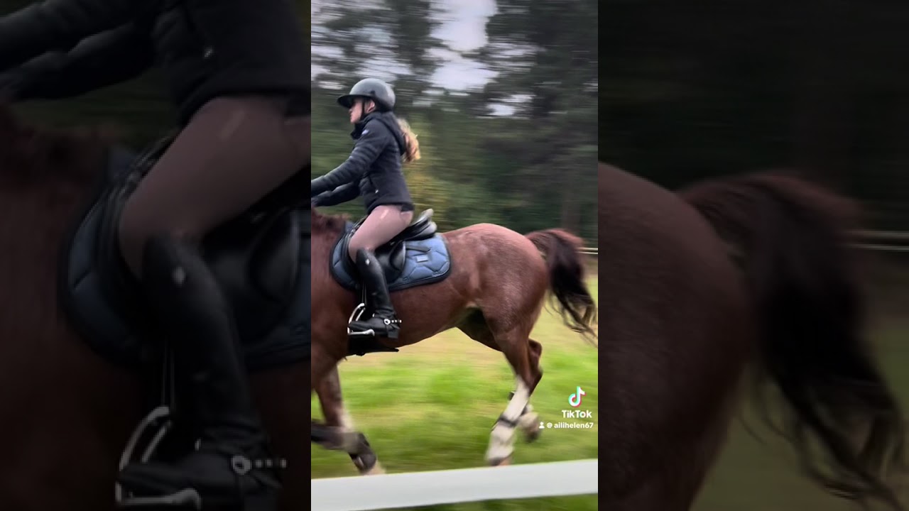 Miss Lilly🥹🩷 #horse4u #horse #equestrian #fypシ #riding #Perrysleela 
