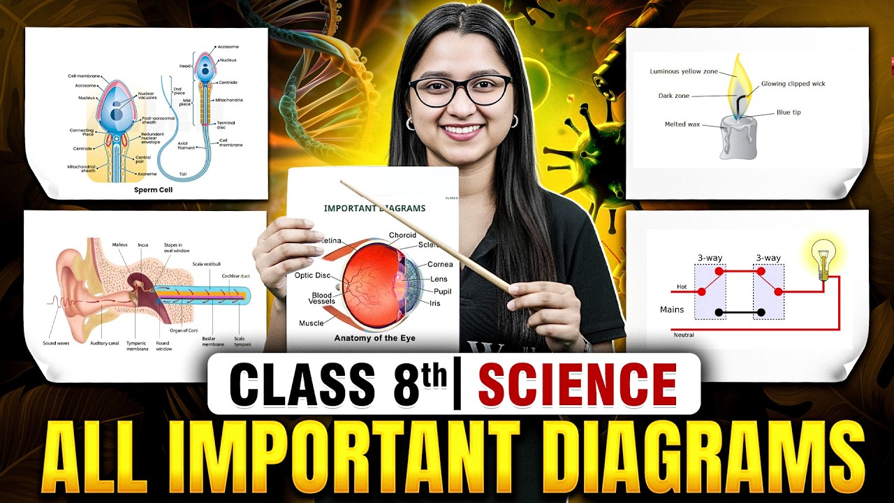 All Important Diagrams Science Class 8th