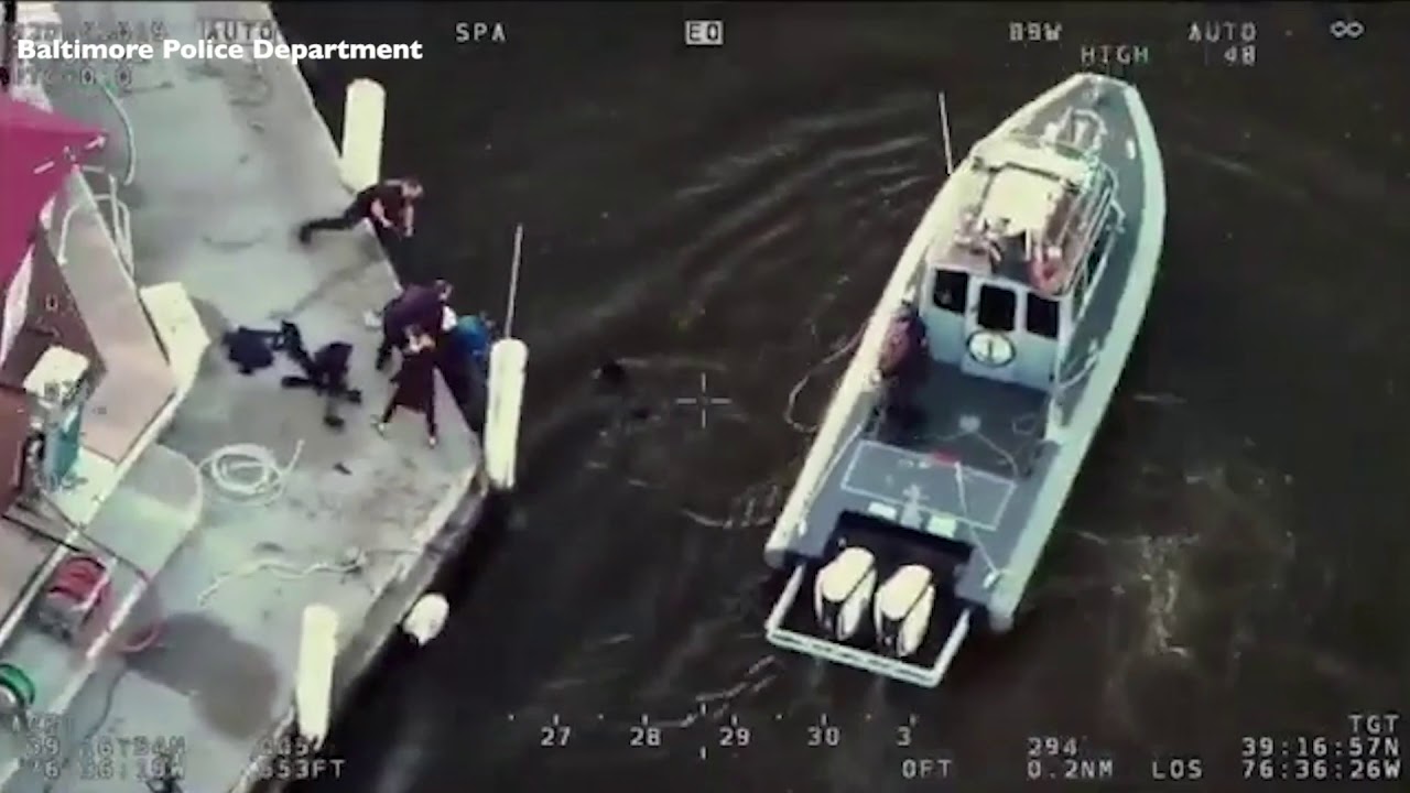 Baltimore Police Rescue Dog from Harbor