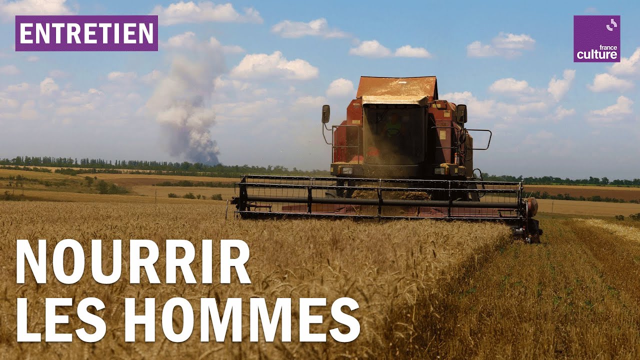 S&eacute;curit&eacute; alimentaire : un d&eacute;fi plan&eacute;taire