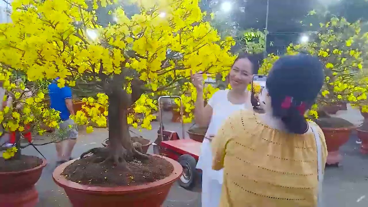 CHỢ HOA BIÊN HÒA XUÂN 2026