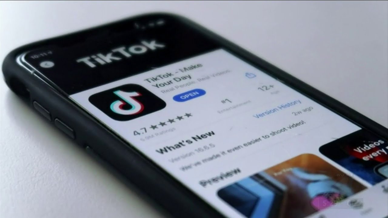 Social media expert breaks down national security concerns surrounding TikTok