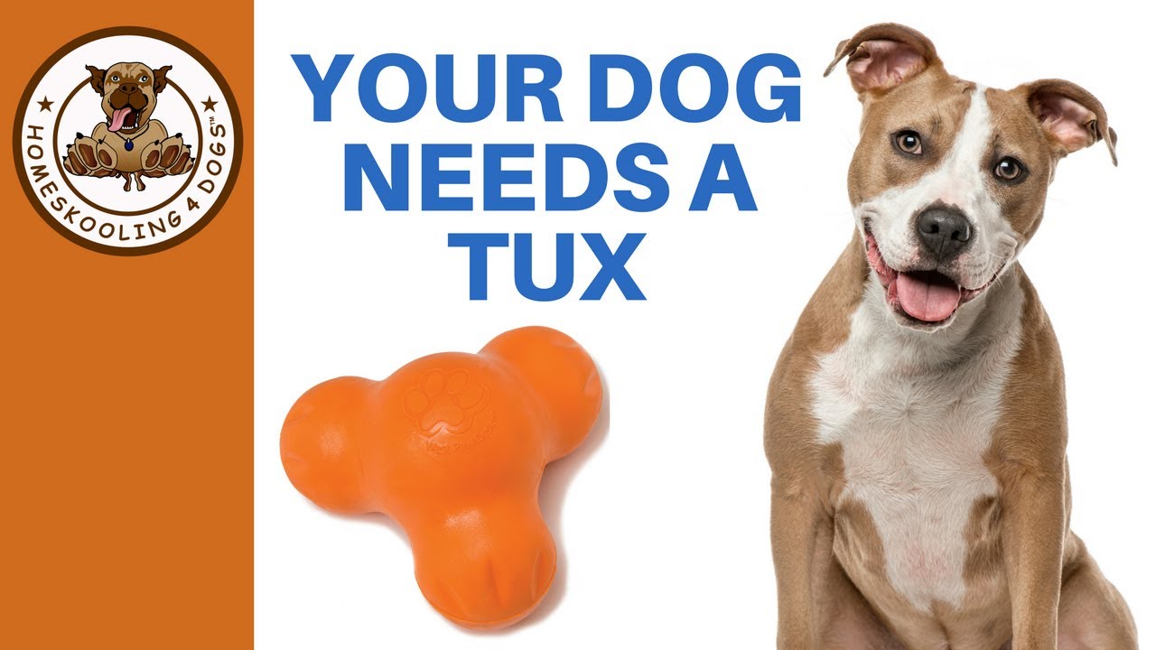 Your Dog Needs A Tux dog toy for fun, enjoyment, and to keep busy!