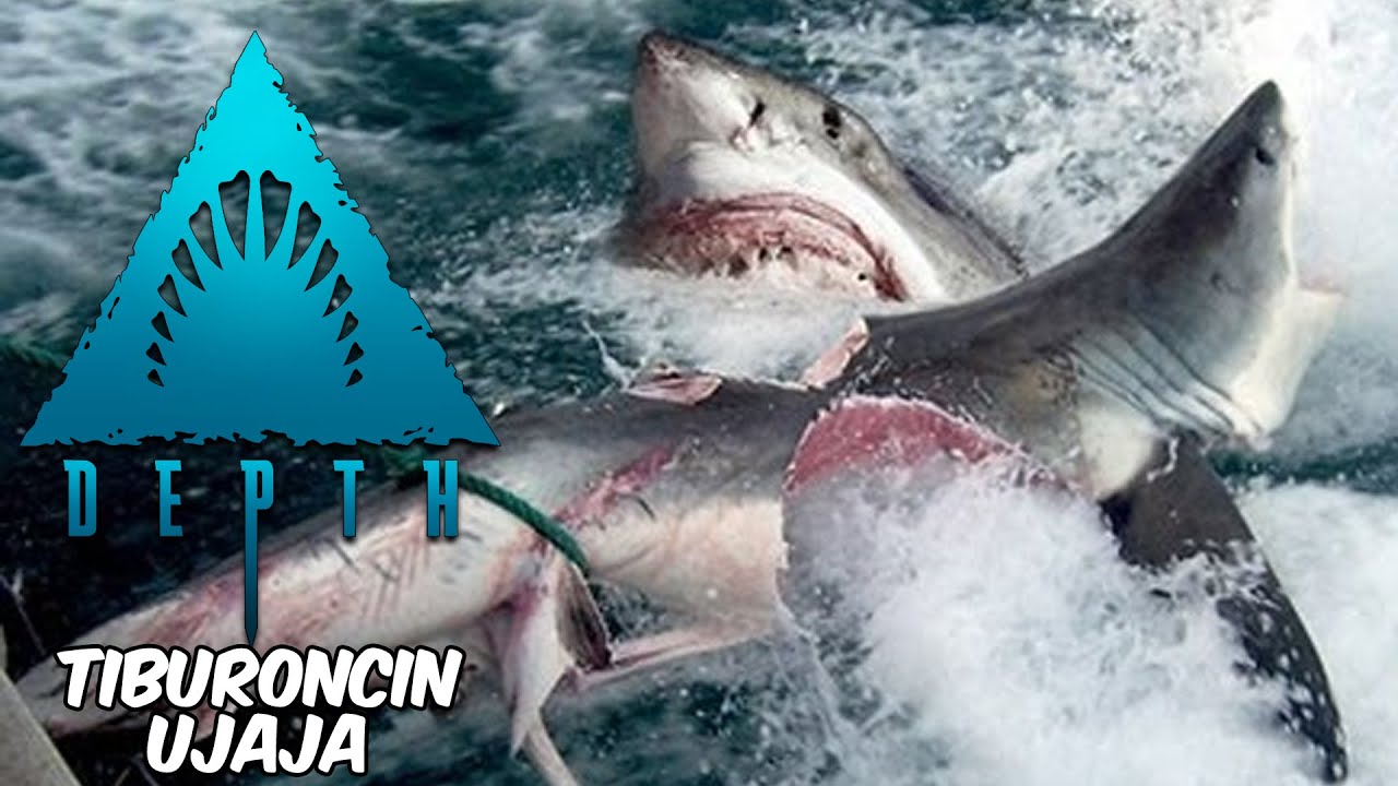 BEST TIBURONES LAS - Depth en Español - GOTH