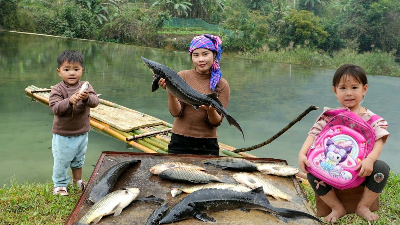 How to trap giant river sturgeon to sell along with my little son - Cooking food for piglets