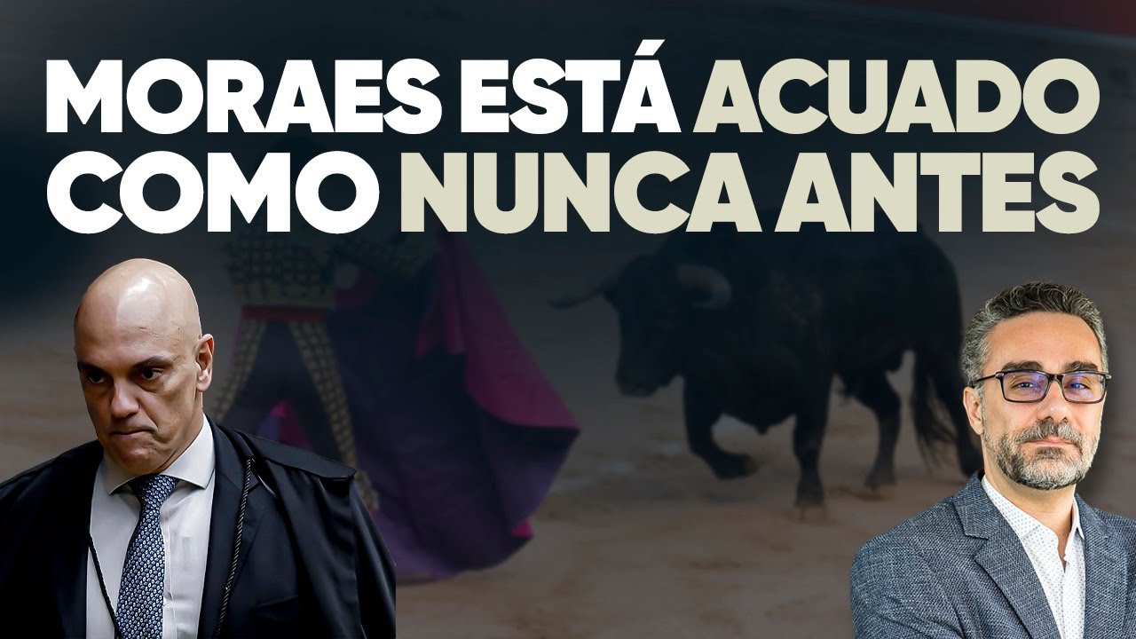 🚨 Moraes está acuado, como um touro na arena! Até quando resistirá?