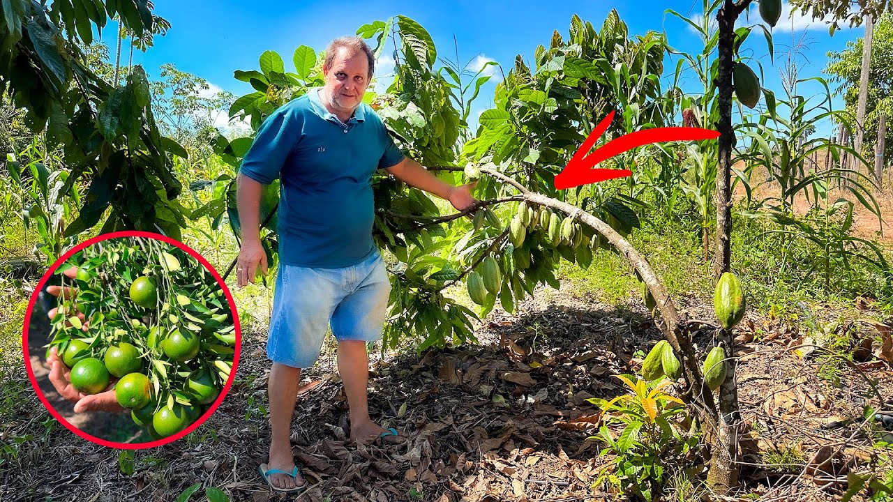 Um Sítio Modelo de Agricultura Familiar - Fala Moçada