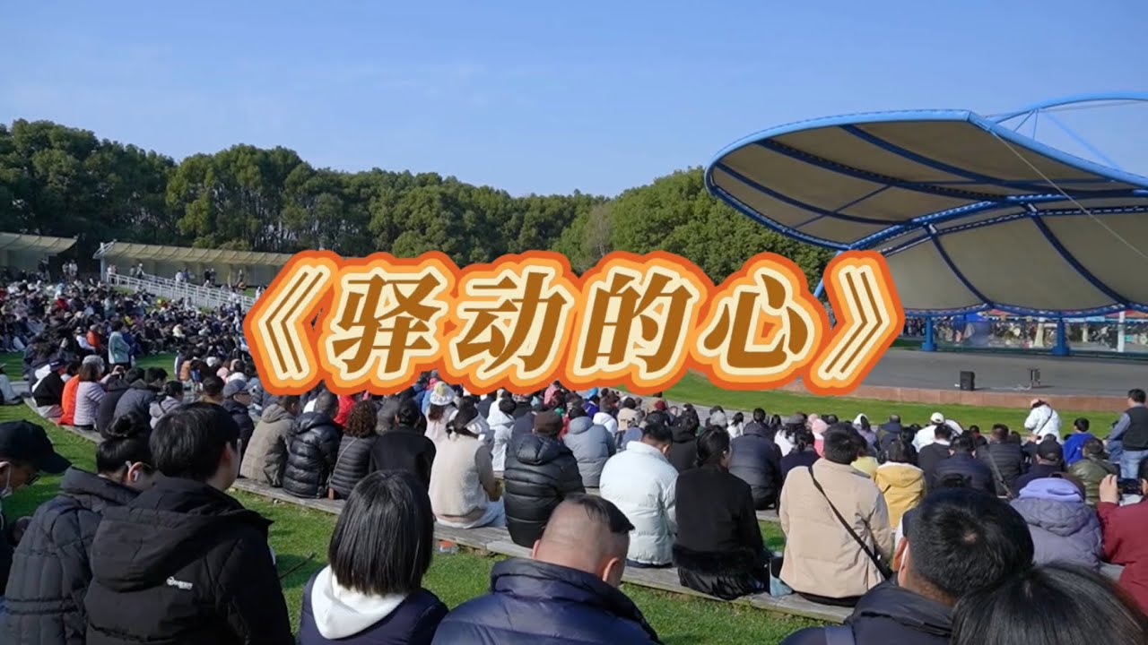 《驿动的心》上海世纪公园 现场演唱
