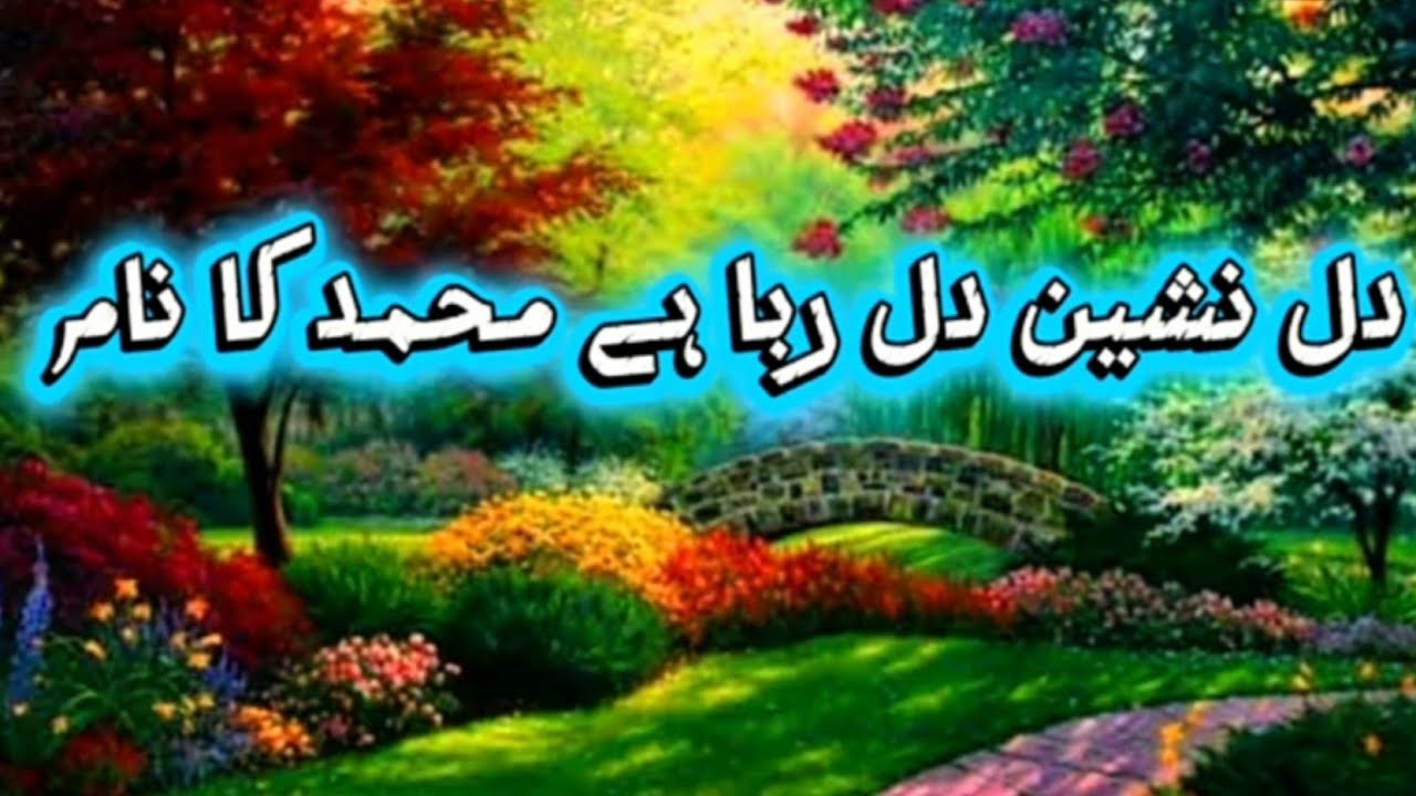 نعت رسول مقبول ﷺ::: ثناء خان؛(حافظ ثاقب ربانی )