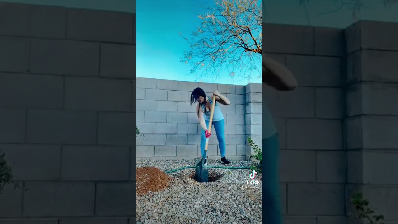 Hyper independence is a trauma response. #shorts  #traumahealing #cptsd #healingjourney