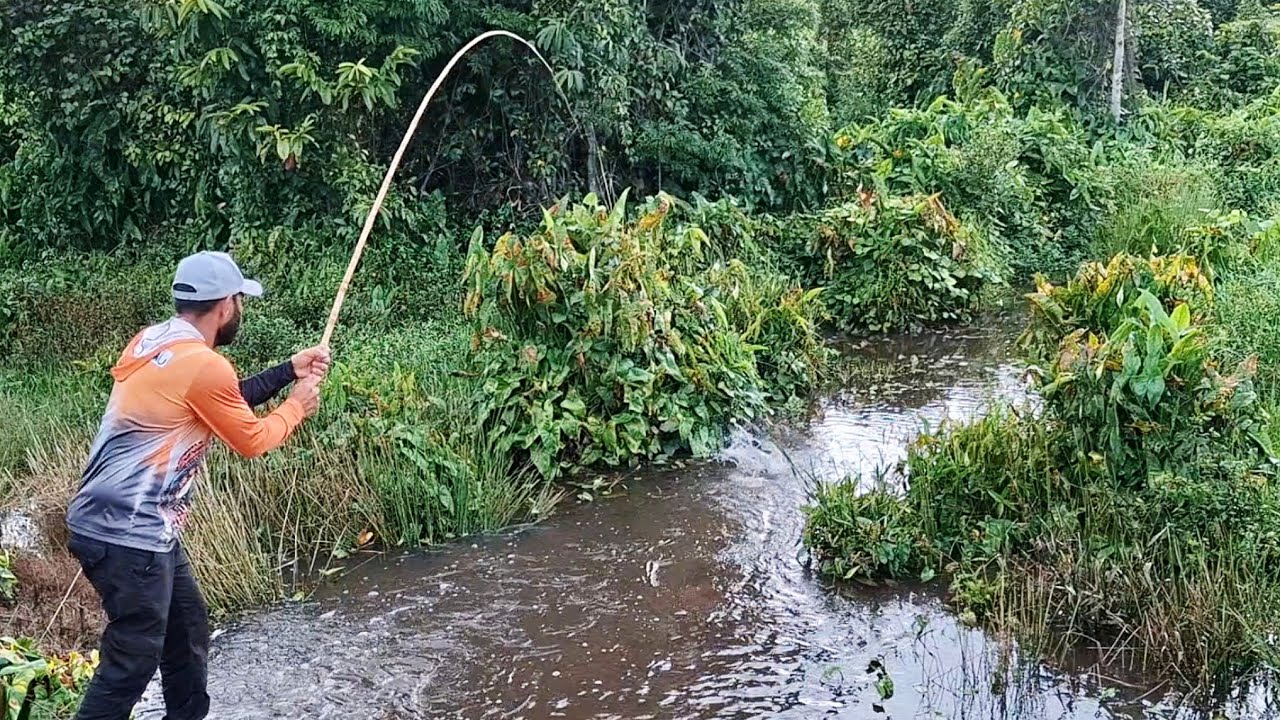 PEIXE EL&Eacute;TRICO , JA&Uacute; , SURUBIN E TRA&Iacute;RA GIGANTE , NESSE LUGAR AONDE VO&Ccedil;&Ecirc; PARA PEGA PEIXE./PESCARIA.