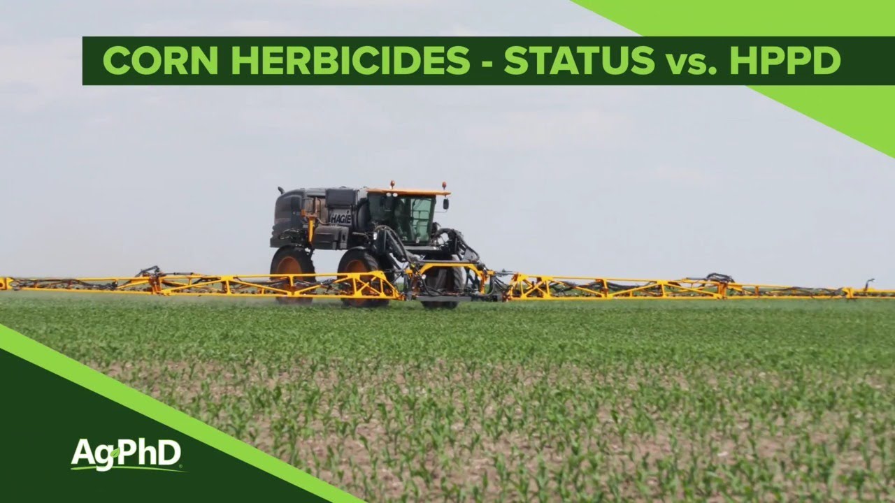 Status vs. HPPD Herbicides (From Ag PhD Show #1100 - Air Date 5-5-19)