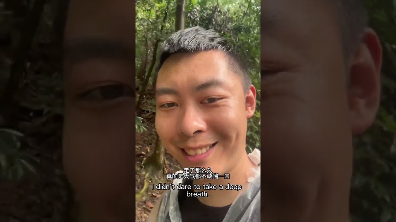 峨眉山不錯 治好了我的嘴硬報國寺徒步到金頂 99道拐路線全程26公里 耗時16.5小時看見了絕美日出 遠眺了貢嘎雪山和瓦屋山#travelvlog #youtubeshorts #fyp