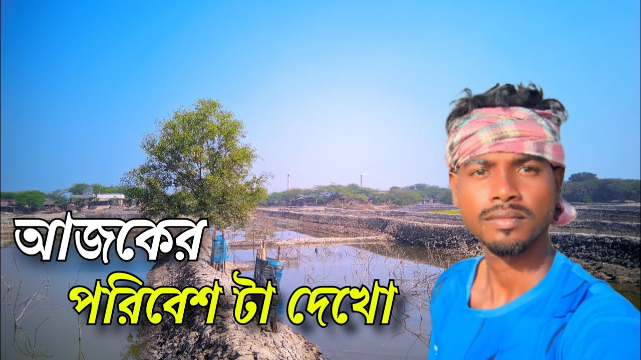 আজকের পরিবেশটা দেখো 🌿#আজকেরপরিবেশ #DailyVlog #BengaliVlog 