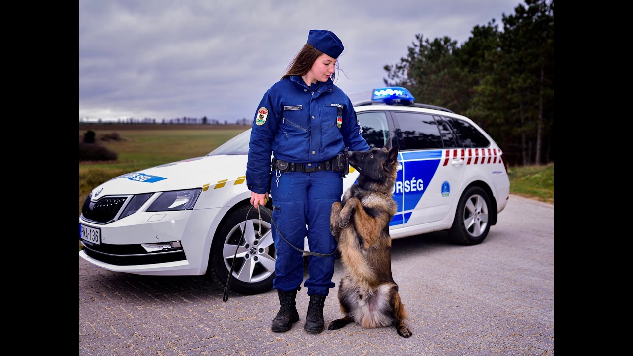 Körmendi Rendvédelmi Technikum - Veszprém megyei RFK motivációs kisfilmje